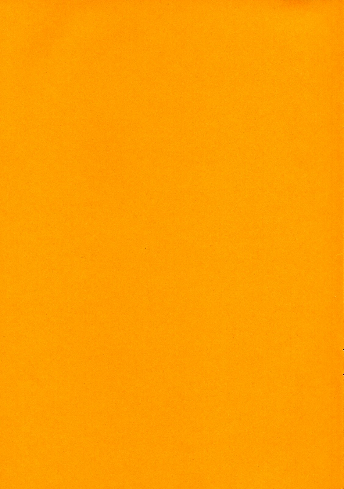 (C65) [Zた袋猫はうす (魚肉ん)] DOKKOI LIFE! (住めば都のコスモス荘)