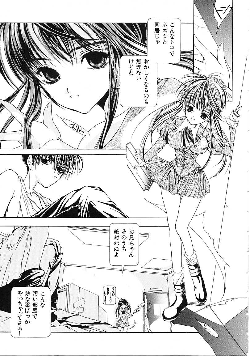 [狩野ハスミ] D