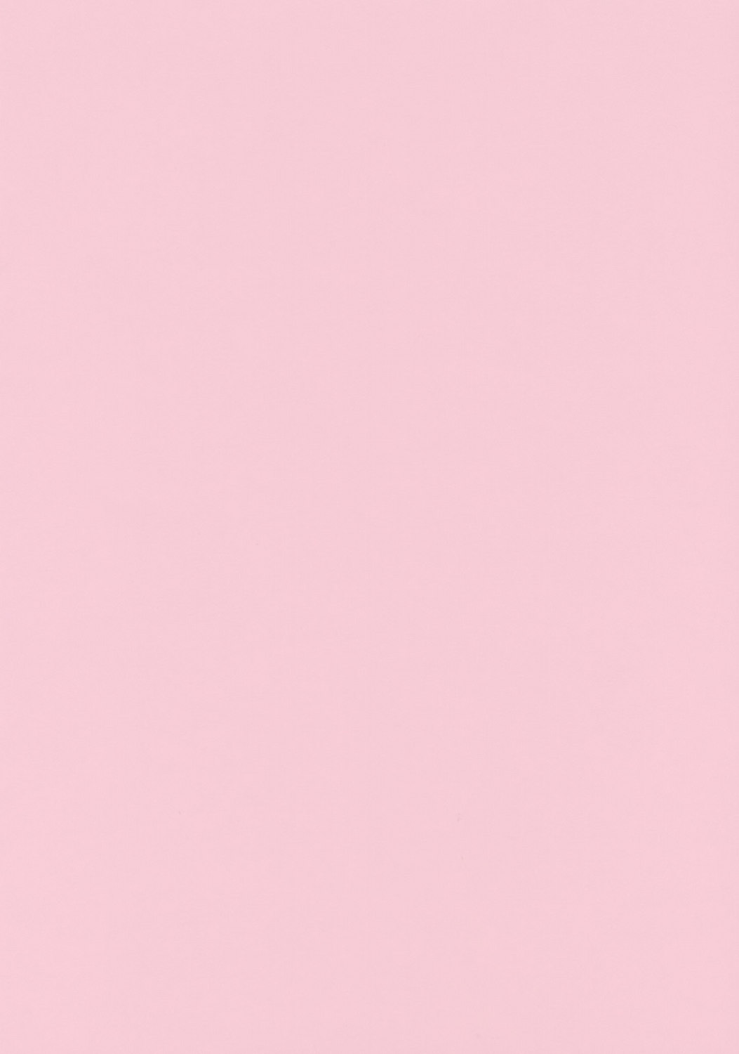 [無政府靴下同盟] もののけシスターズ・夏 (オリジナル)