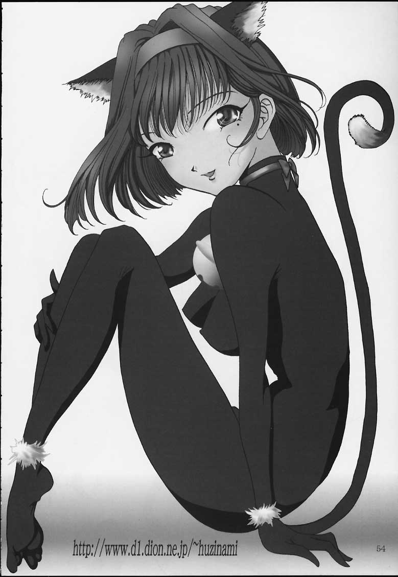 (Cレヴォ39) [藤波工房 (藤波薫)] Bon voyage (サクラ大戦)