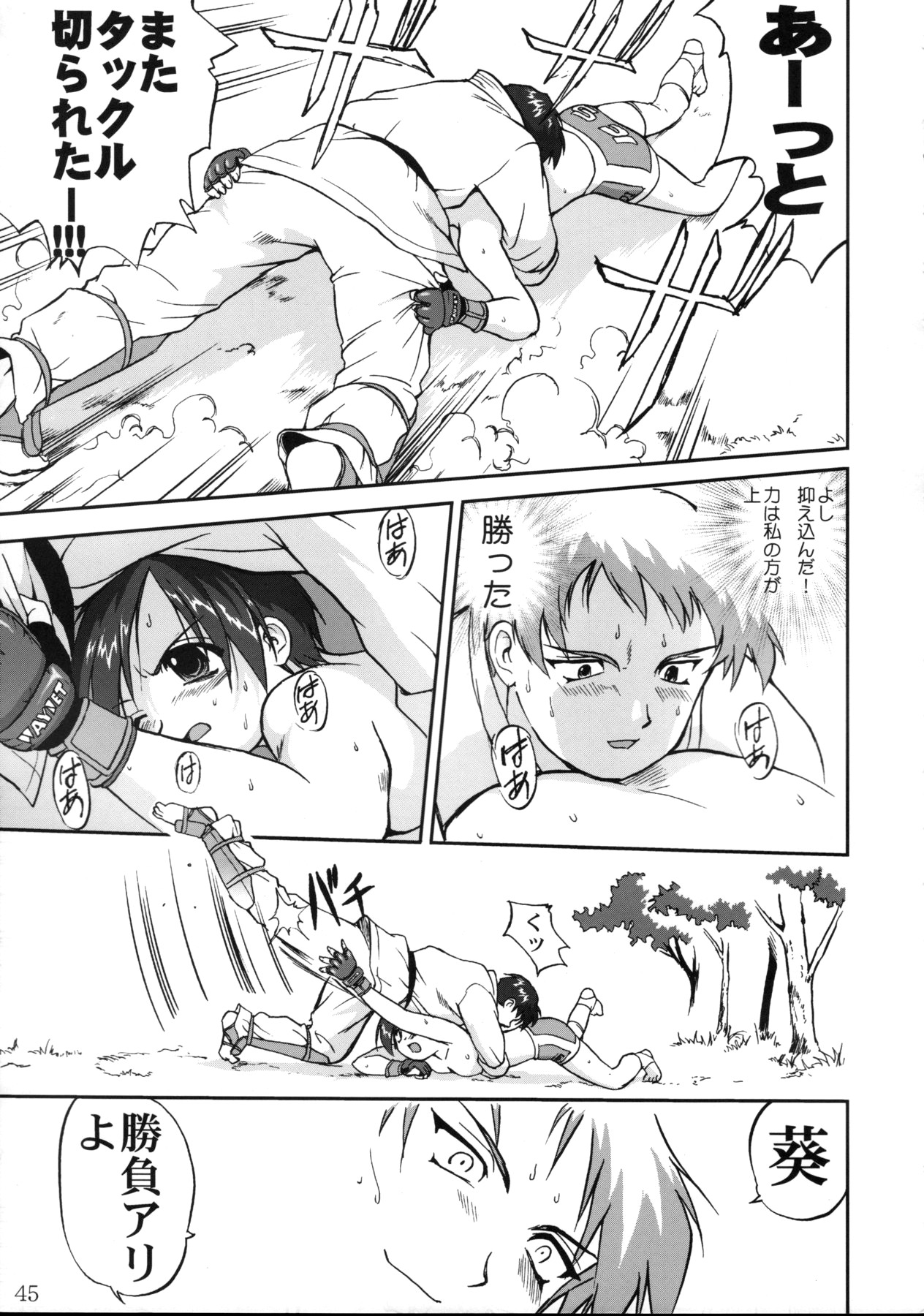 (Cレヴォ33) [蛸壺屋 (TK)] 葵 PRIDE編 (To Heart)