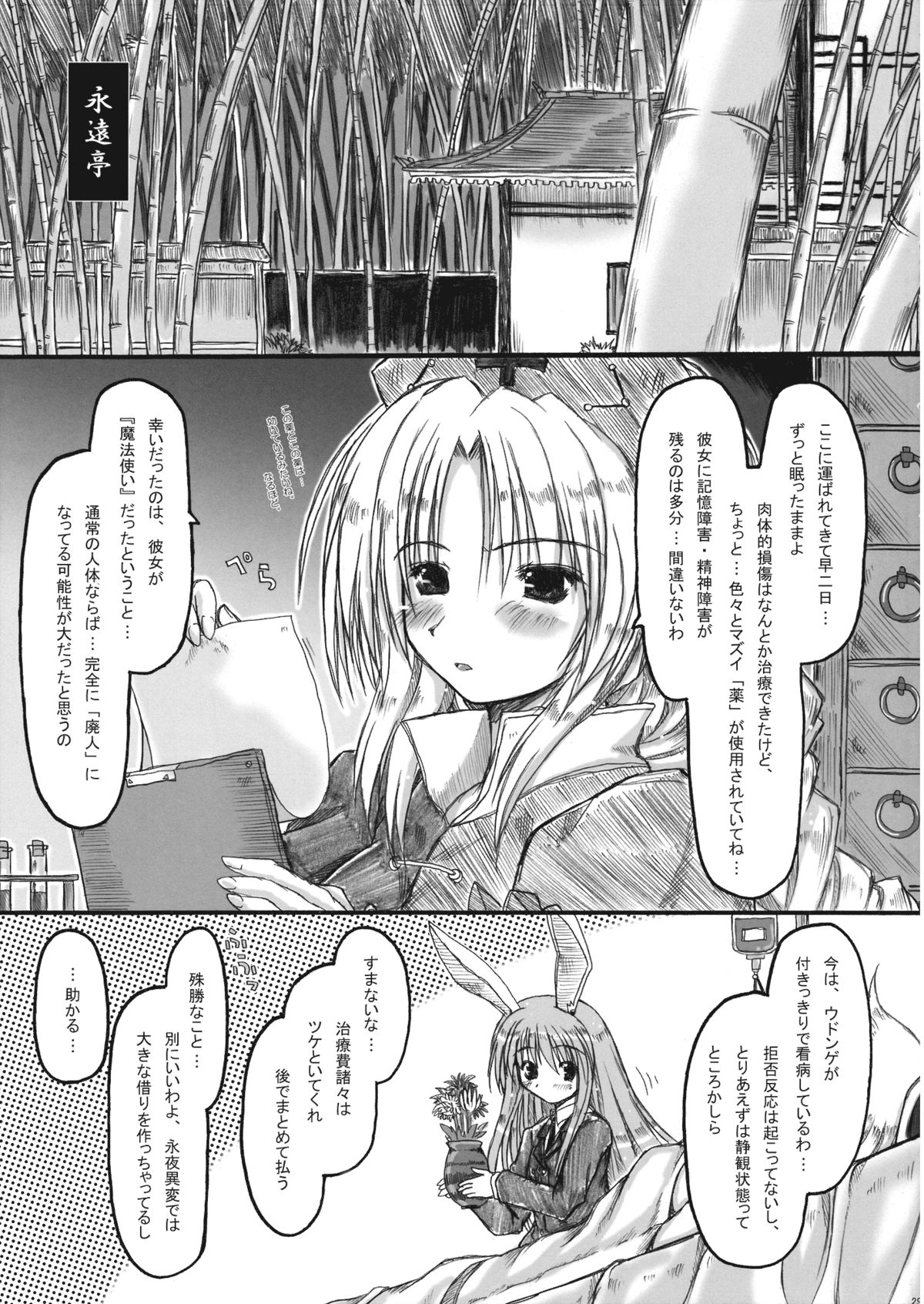 (例大祭7) [暗黒暴走組 (アイヌマニア)] 壊レル虹 非運ノ夢、戻リ (東方Project)