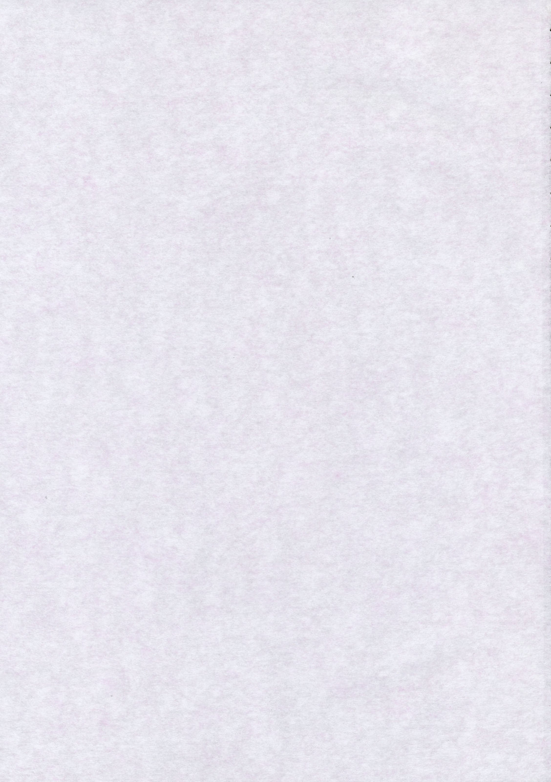 (例大祭7) [蚊帳の外 (唐沢四十)] 巫女さんの貴重な産卵シーン (東方Project)