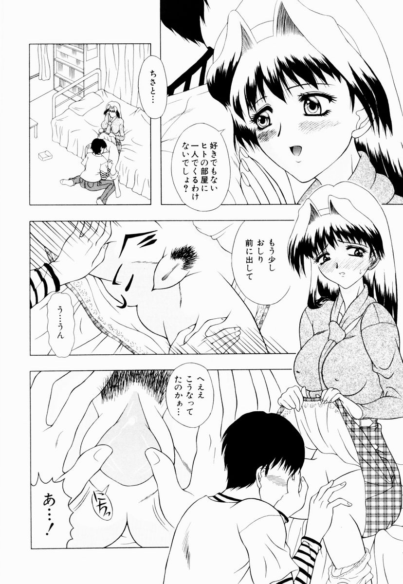 [御前零士] テンプテーション