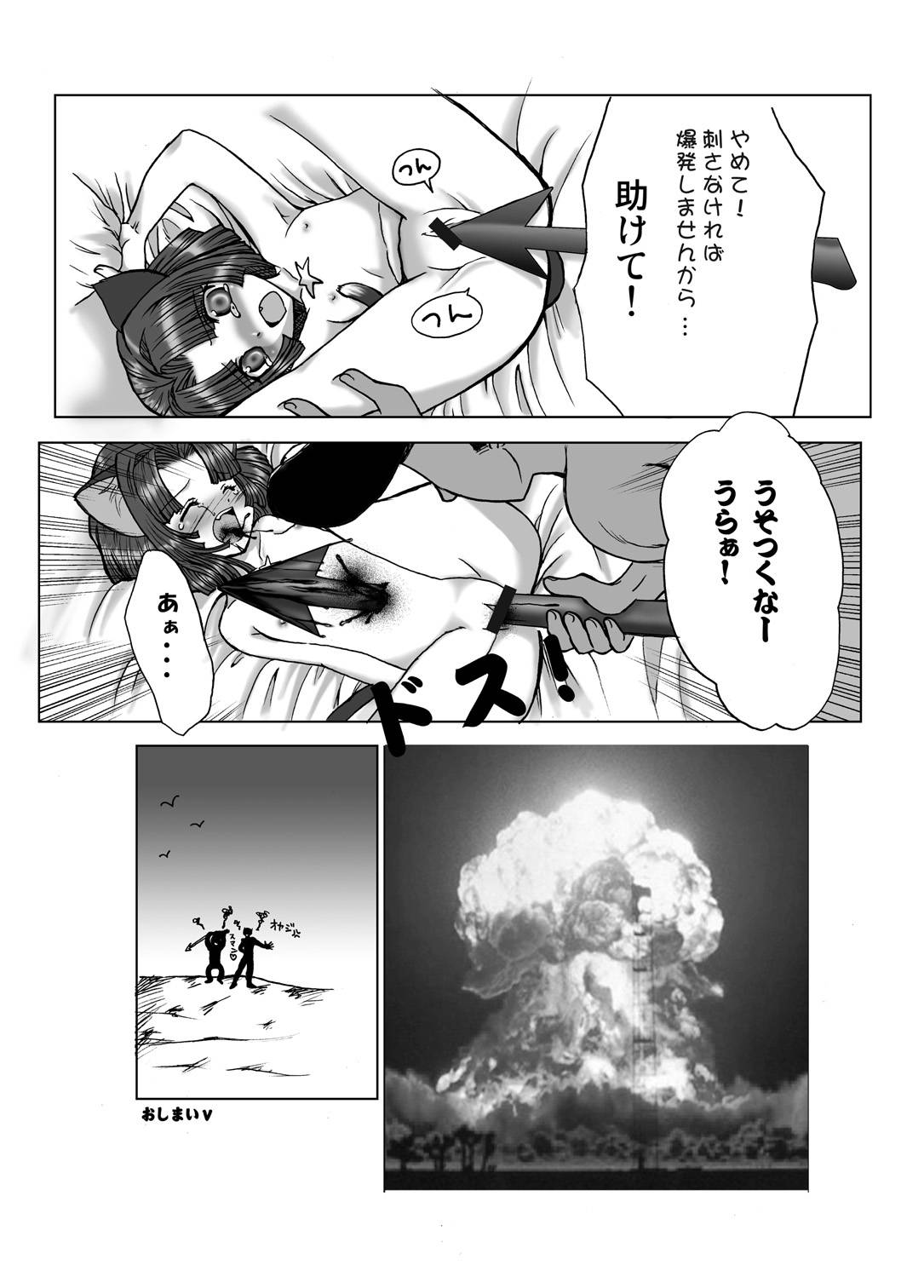 (C75) [つるぺた研究所 (よろず)] つるぺた研究報告書「決戦前夜」