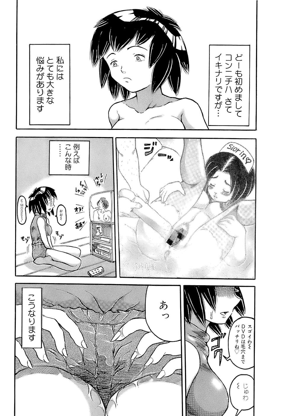 [甲賀三郎] SUMMER FLOWER