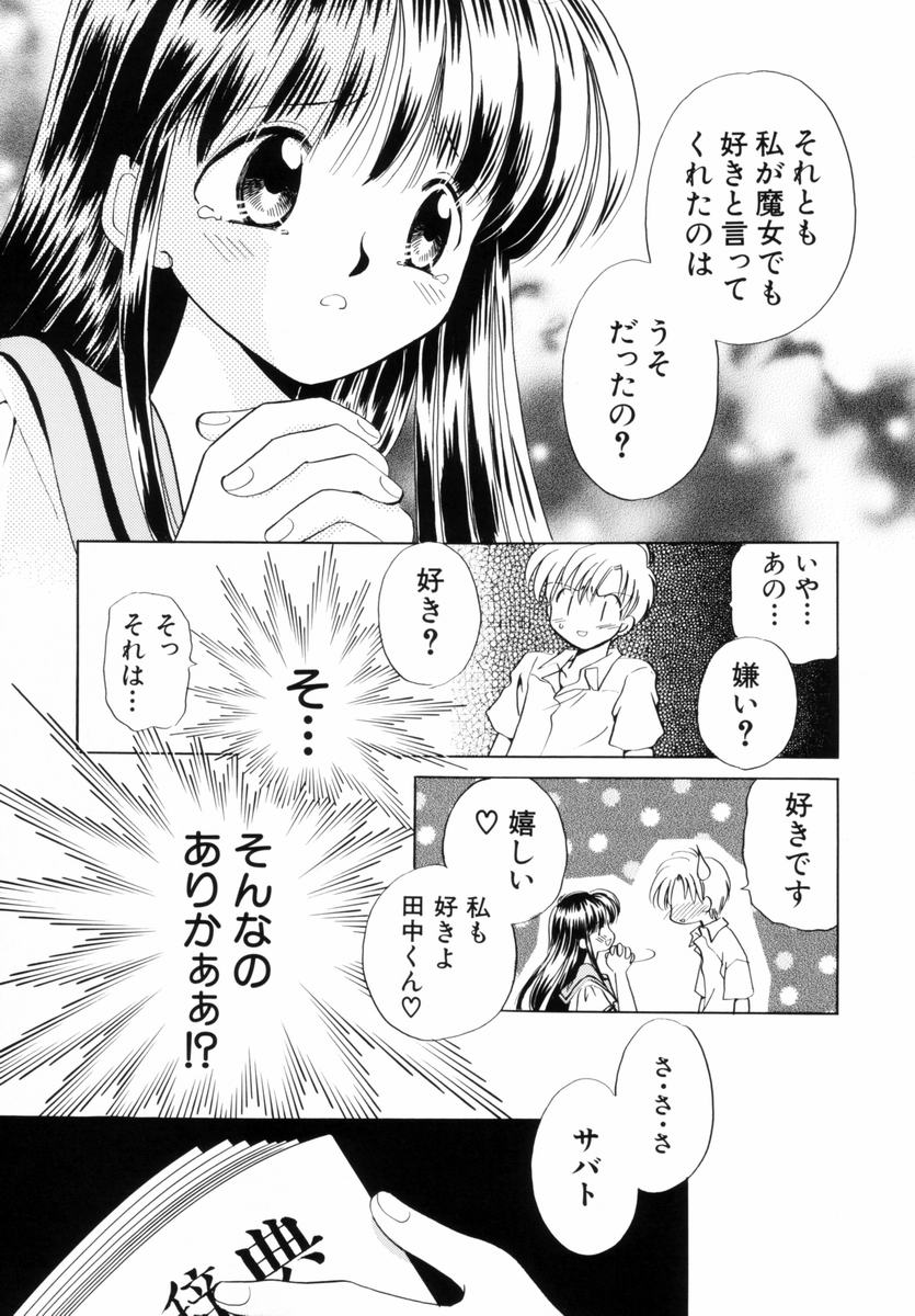 [流星ひかる] いつか、王子さまが。