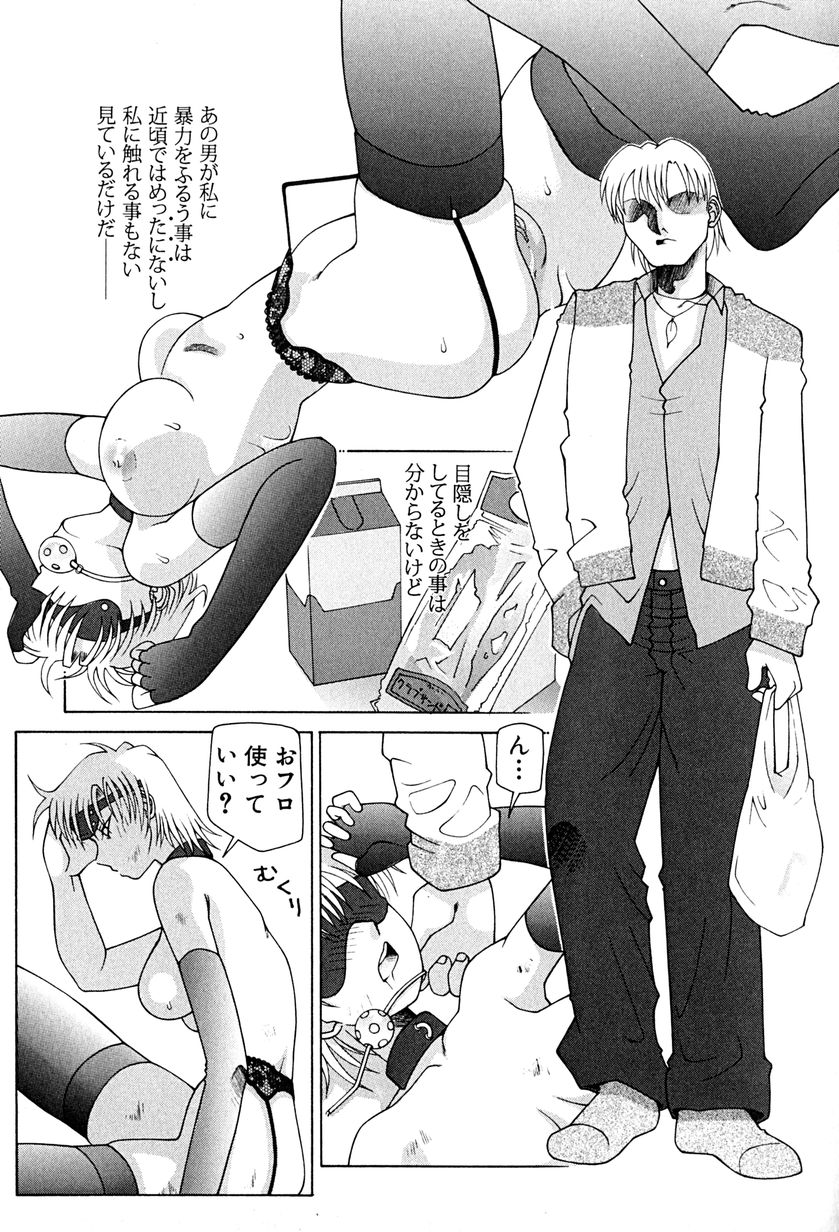 [うめやしきみつよし] 降服論