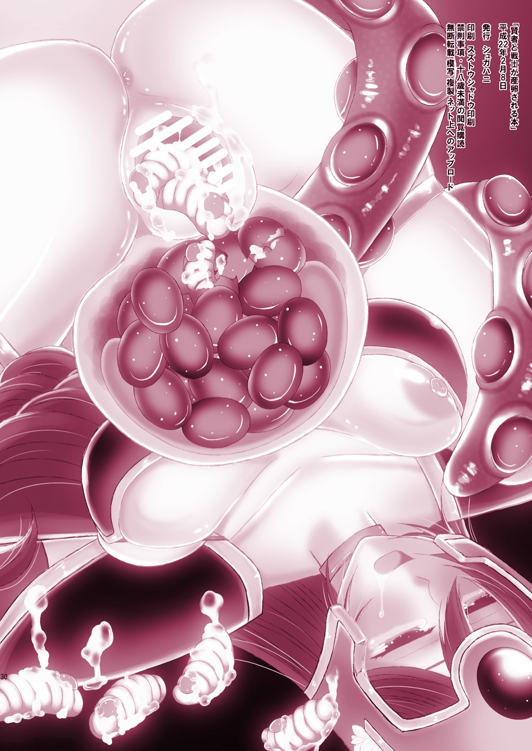 [シュガハニ (シュガーミルク、水月ハニー)] 賢者と戦士が産卵されちゃう本 (ドラゴンクエストIII) [DL版]