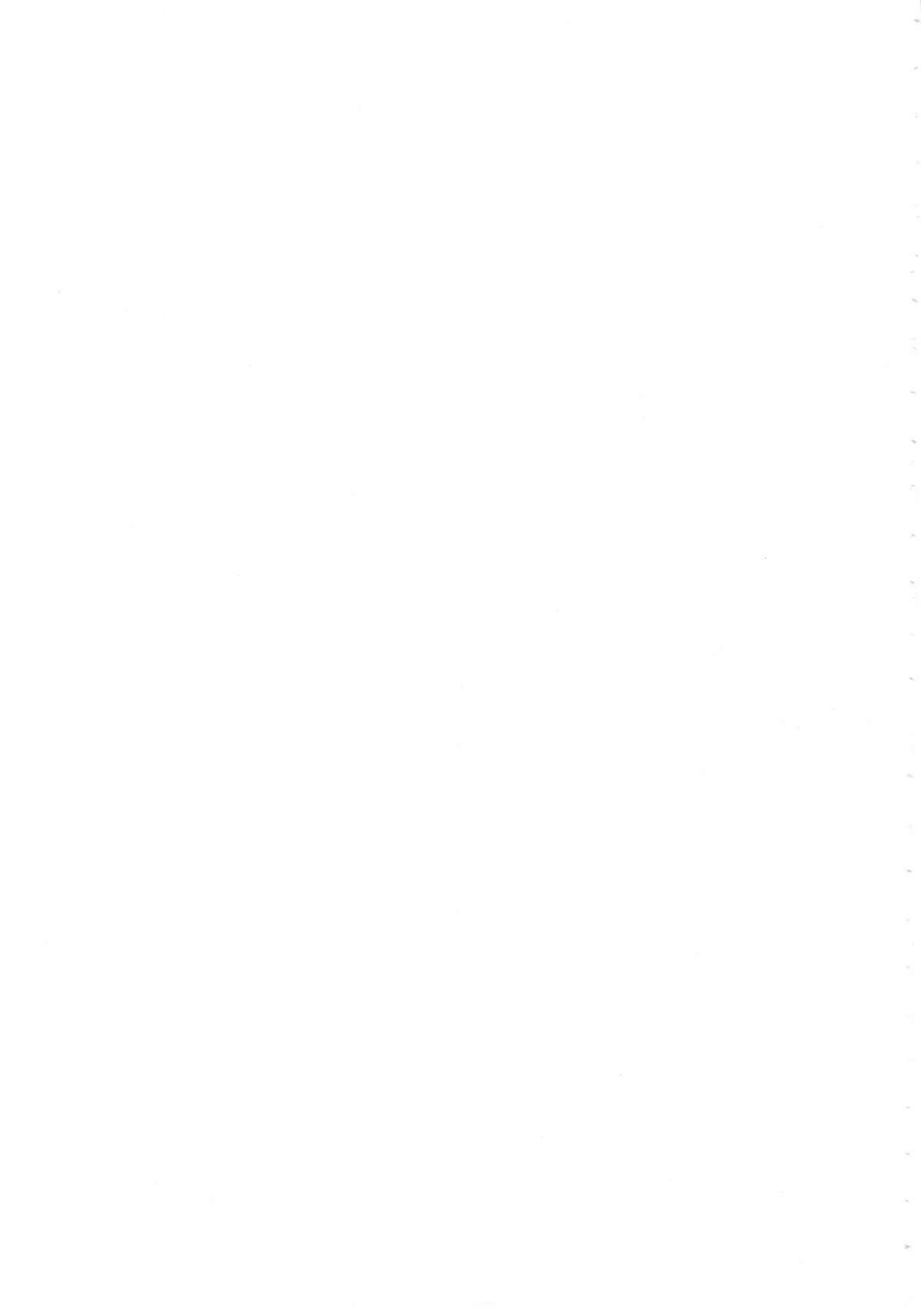 [上総志摩] メタルツインズ