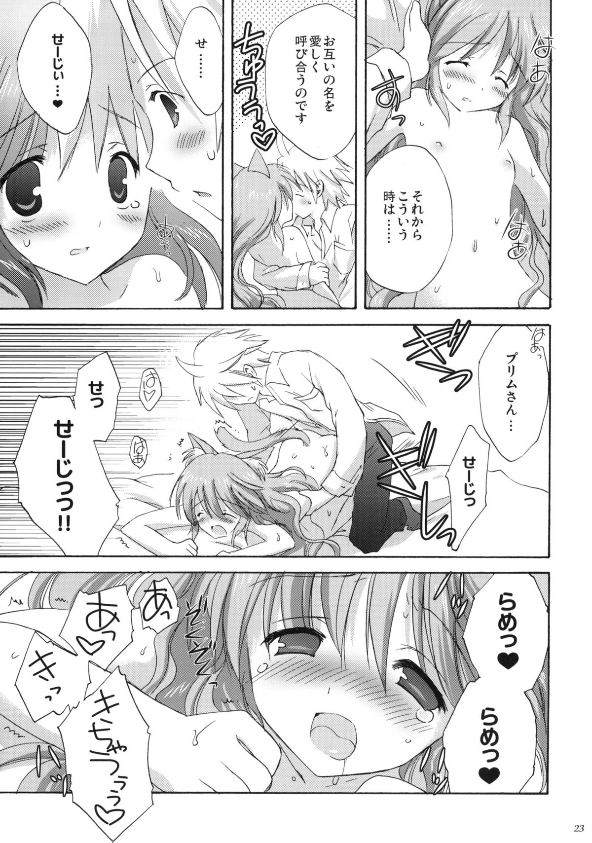 (C76) [こりすや (こりす)] luck-life