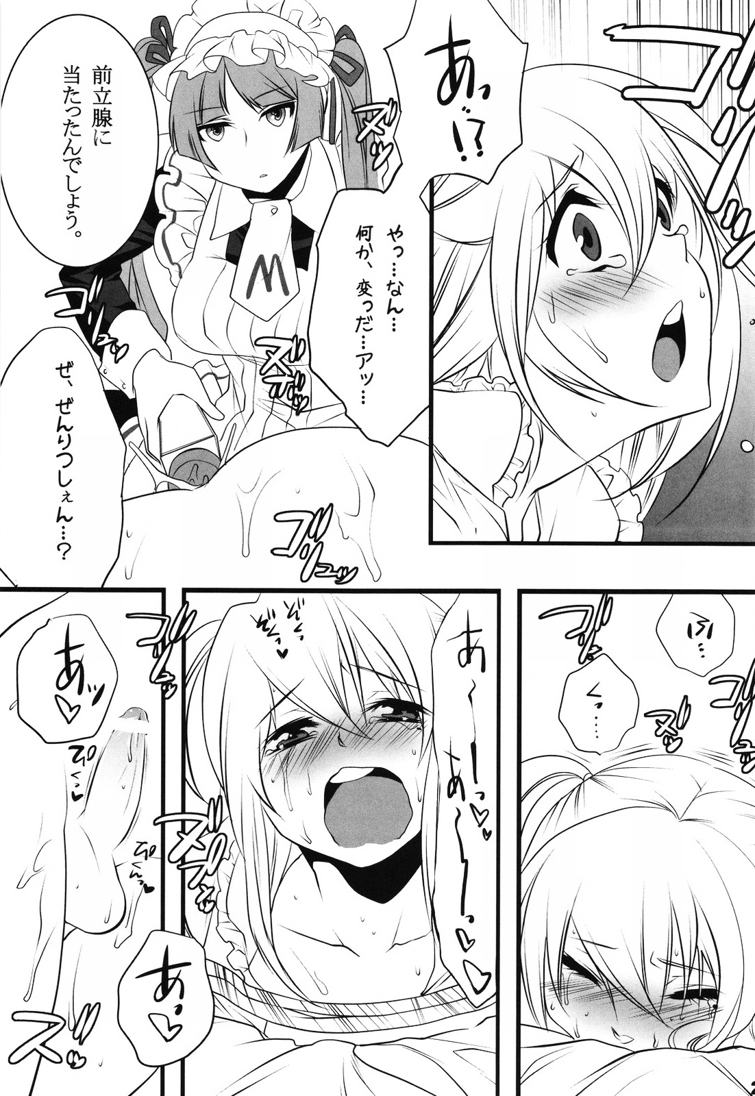 (COMIC1☆3) [Ash Wing (まくろ)] おとめほりっく (まりあ †ほりっく)