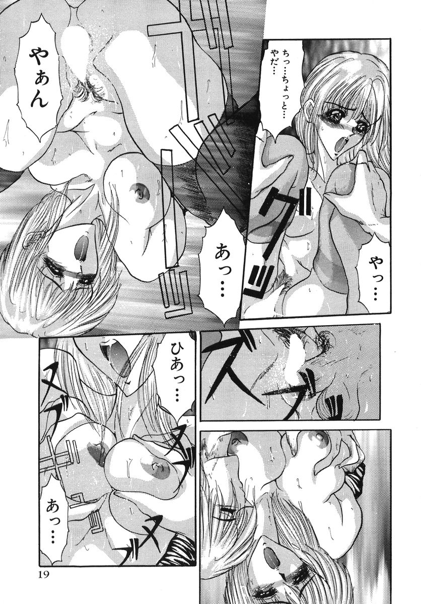 [GRIFON] なぶられた純潔