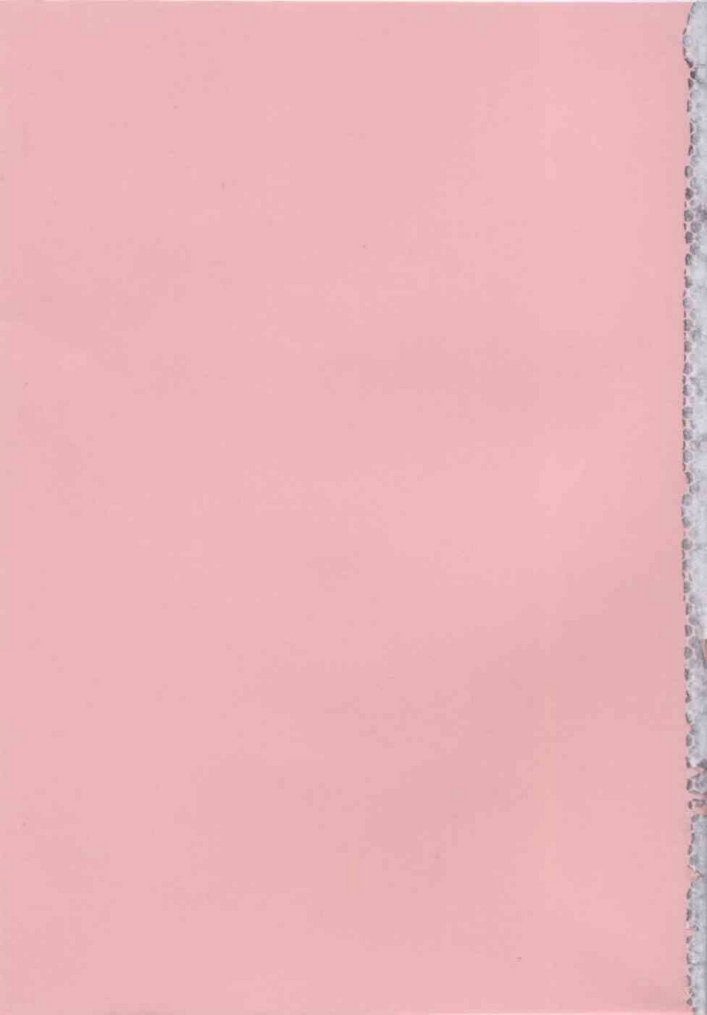 [島本晴海] ちゅ～♥ぺっと 苺Days