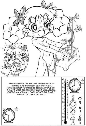 【ありきめです】スイカ育種[ENG]