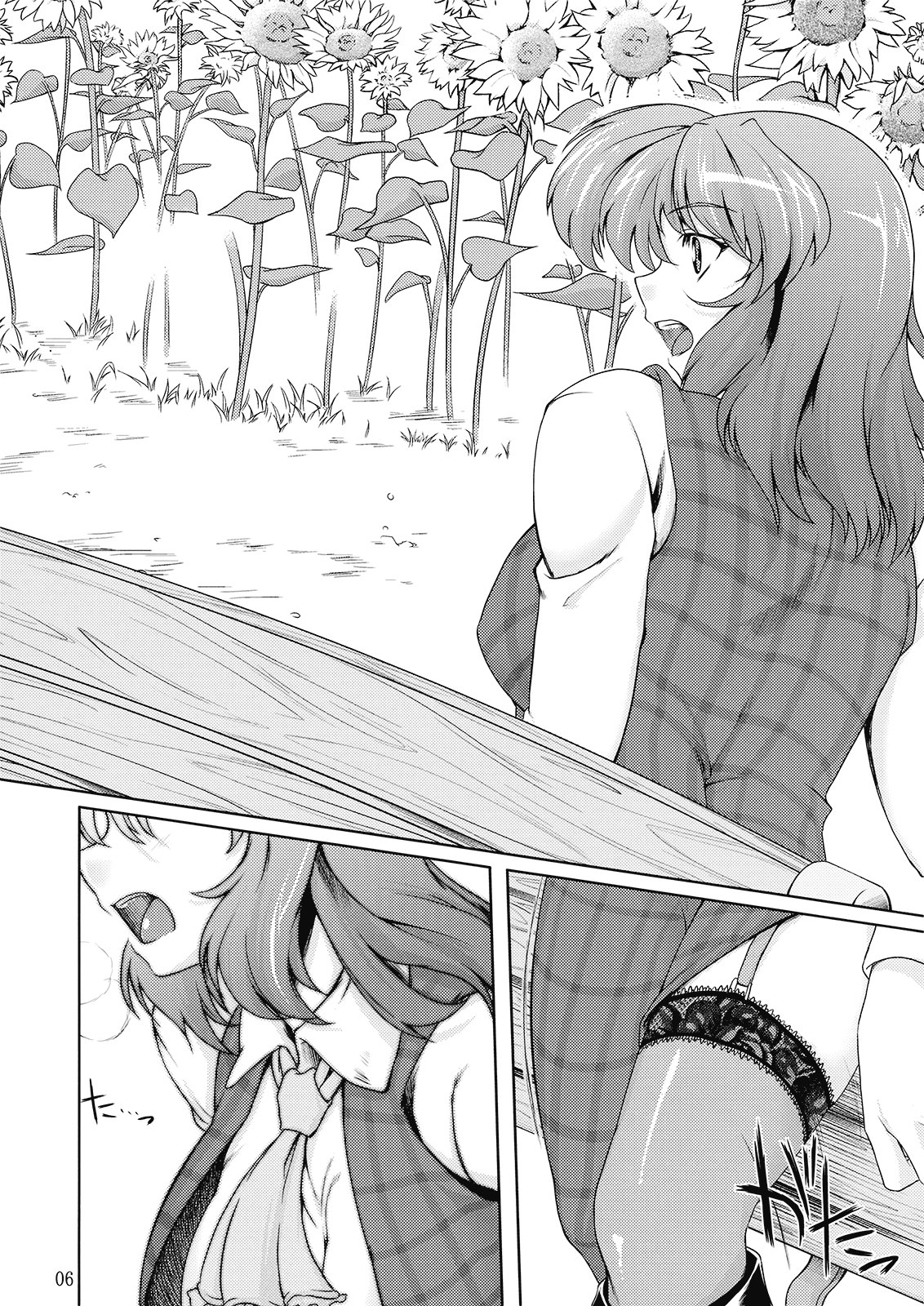 (C77) [04U (陵たすく)] 太陽の畑にて･それから + ペーパー (東方Project)