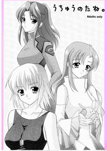 (CR33) [てるおはるお (清みわ)] うちゅうのたね。 (機動戦士ガンダムSEED)