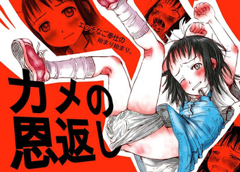 [平行奇塊学論 (御免なさい)] カメの恩返し