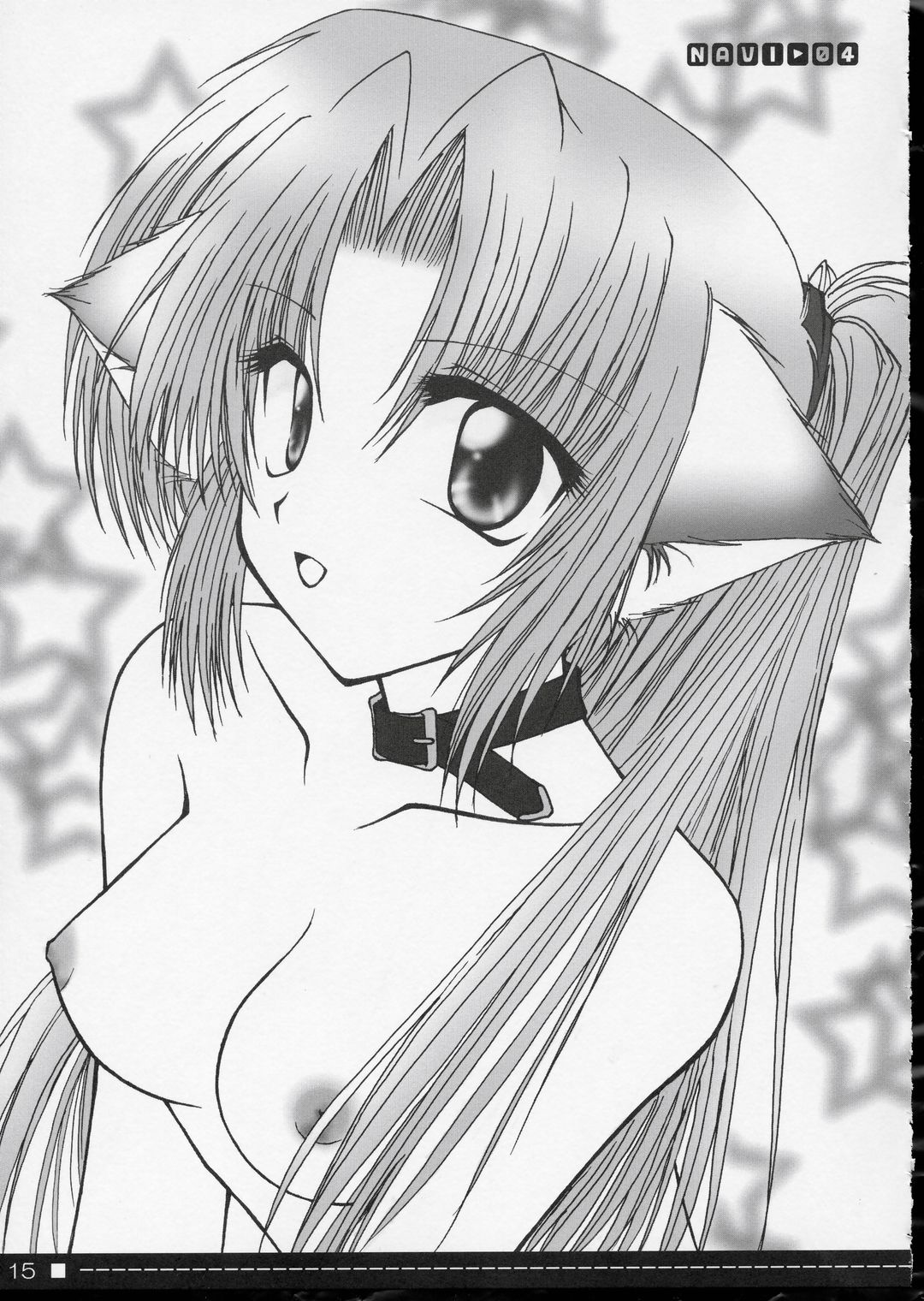 (サンクリ24) [涼屋 (涼香)] Petal