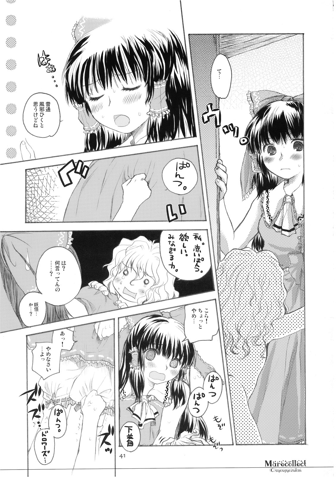 (C74) [少女頭巾 (鳩麦月々)] Marecollect (東方Project)