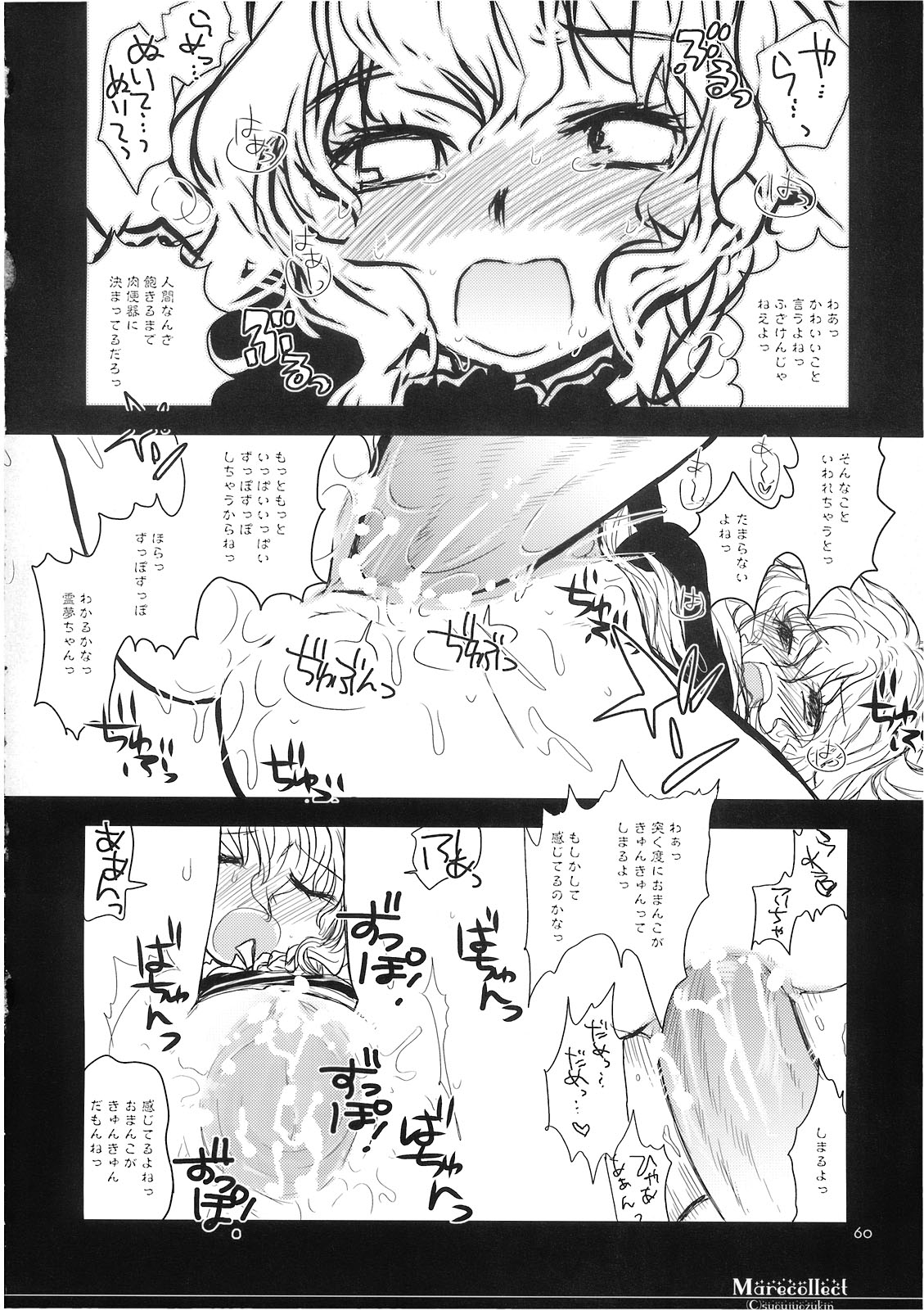 (C74) [少女頭巾 (鳩麦月々)] Marecollect (東方Project)