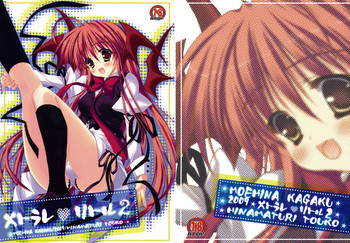 (C76) [萌雛化学 (雛祭桃子)] メトラレｖリトル 2 (東方Project)