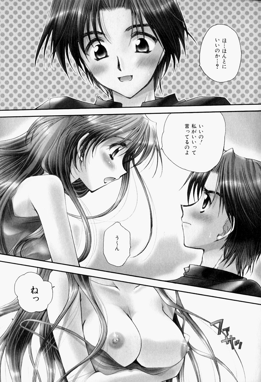 [天櫻みとの] ひがわりランチ