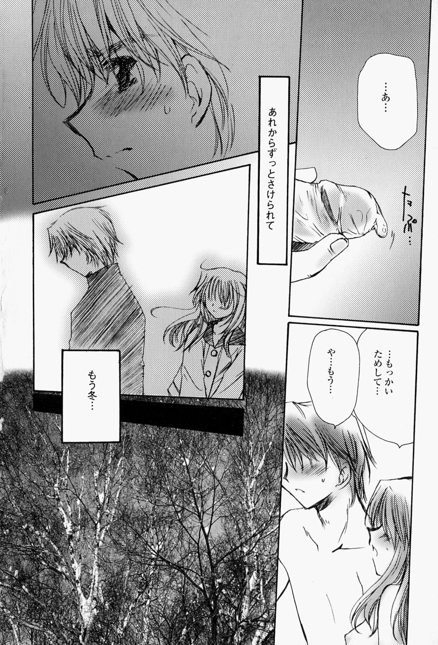 [天櫻みとの] ひがわりランチ