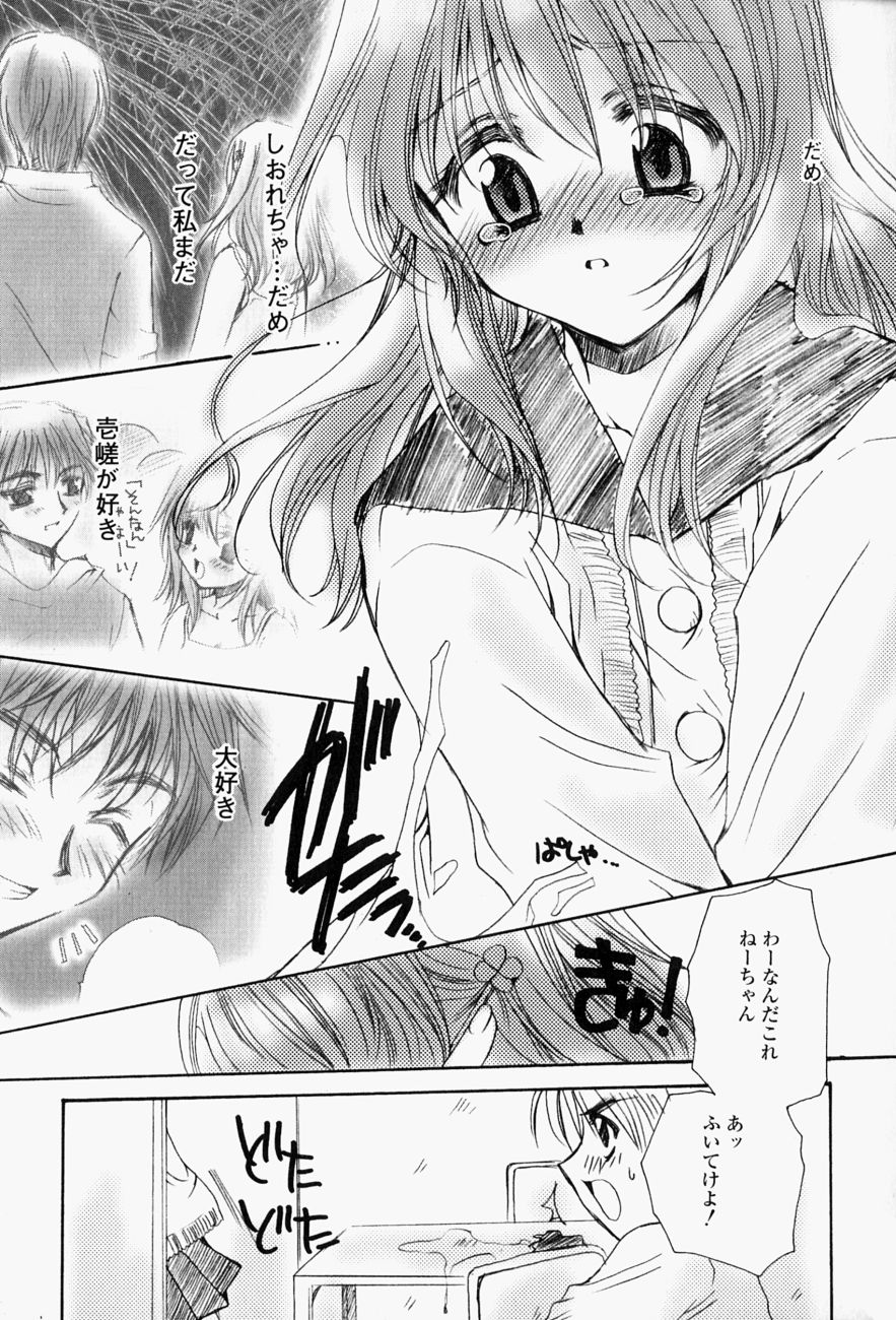 [天櫻みとの] ひがわりランチ