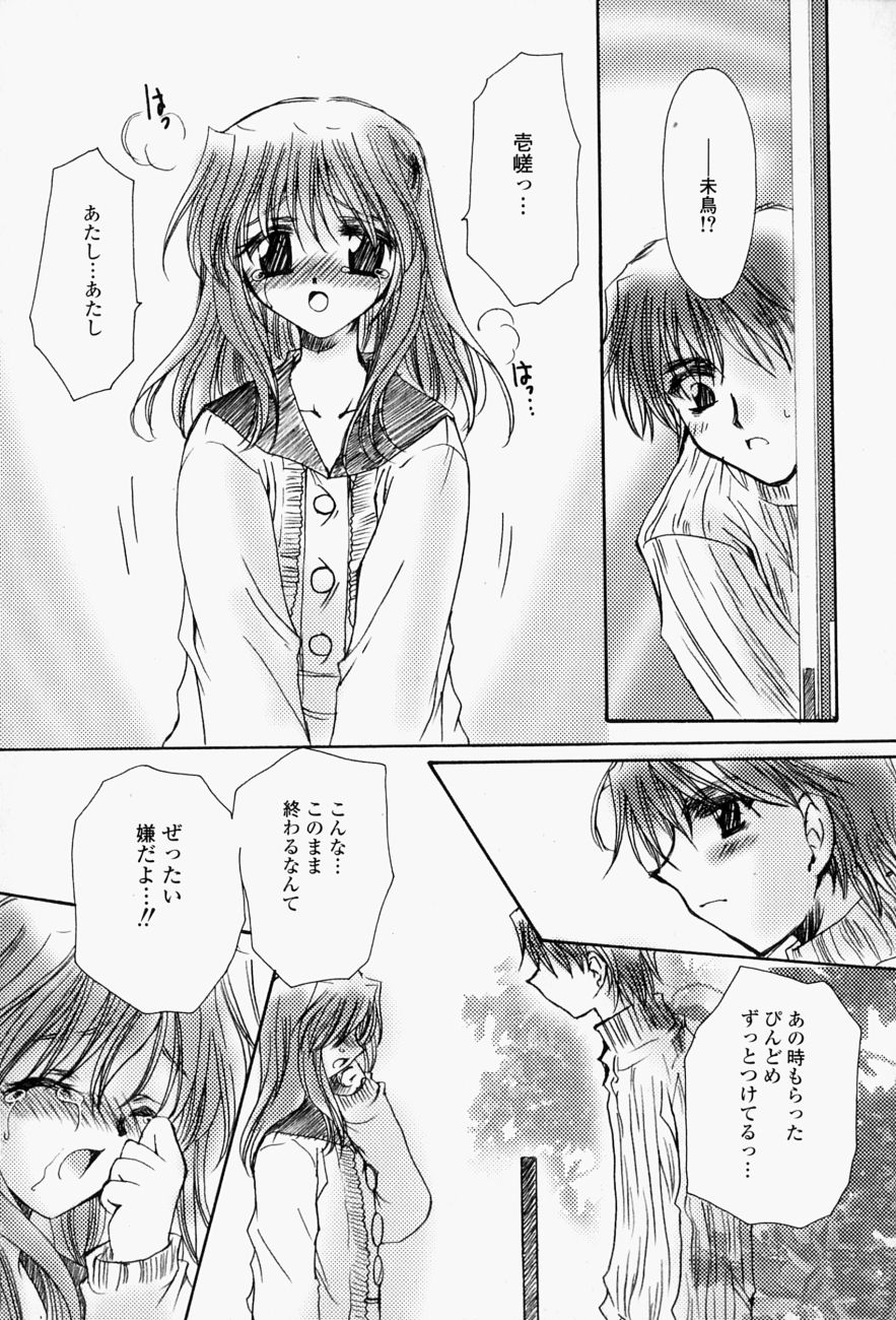 [天櫻みとの] ひがわりランチ