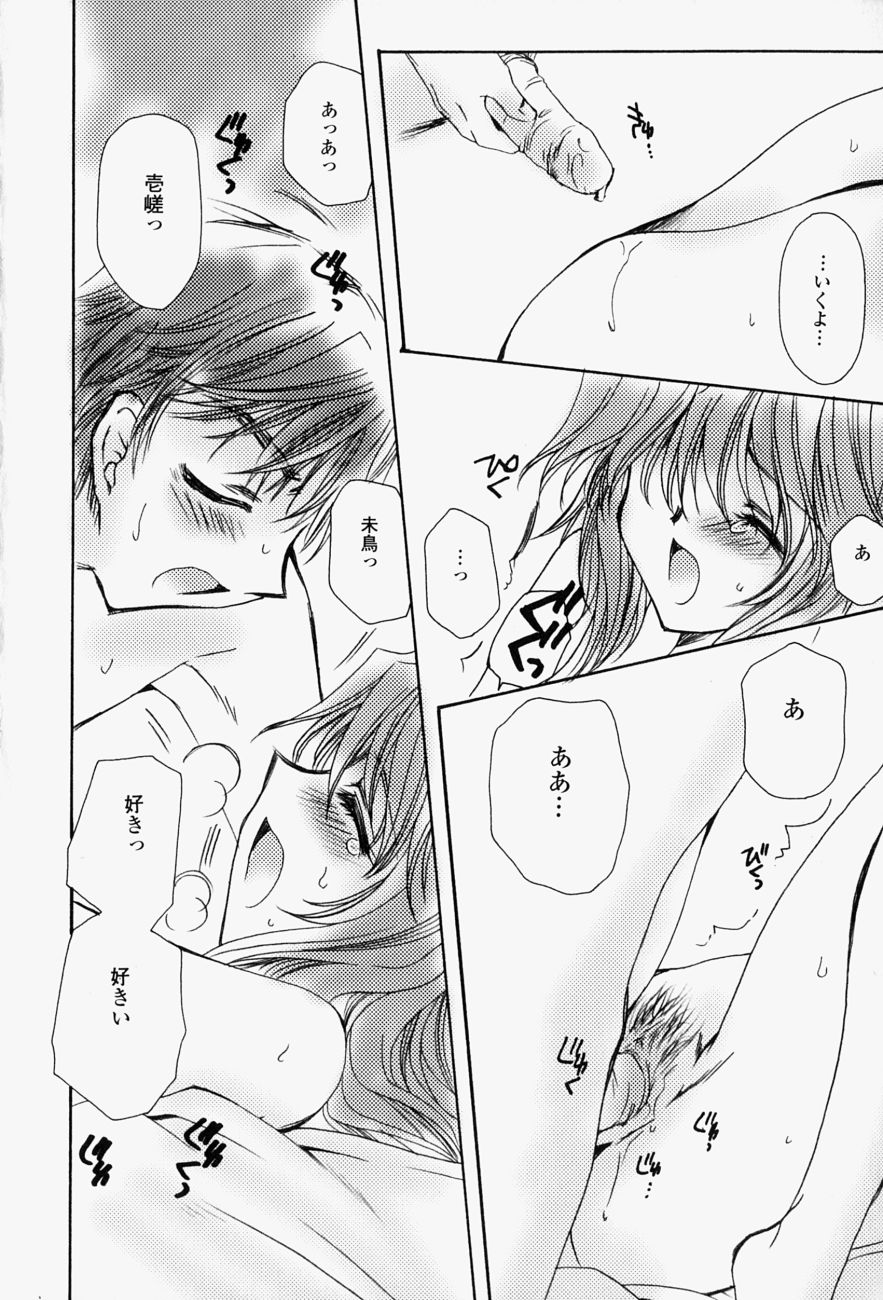 [天櫻みとの] ひがわりランチ