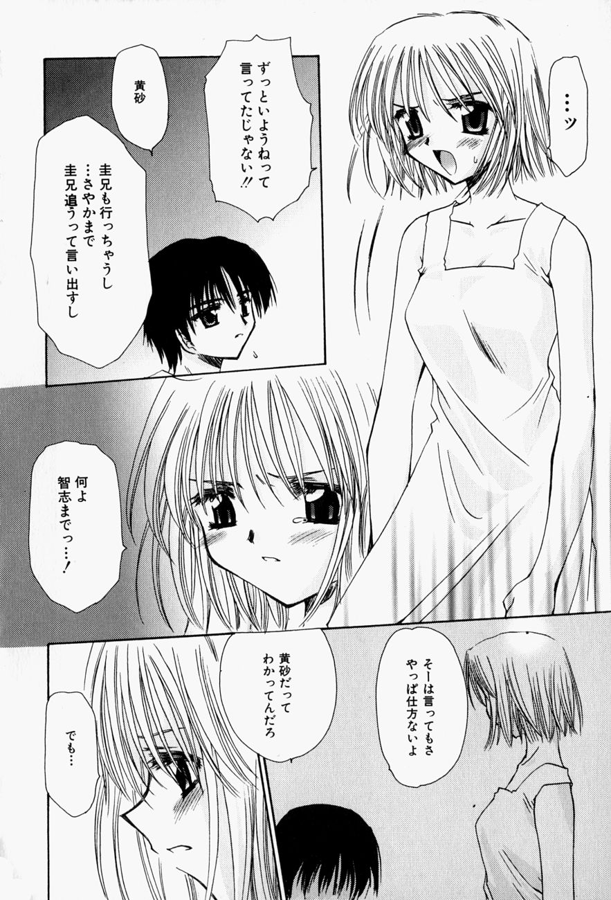 [天櫻みとの] ひがわりランチ