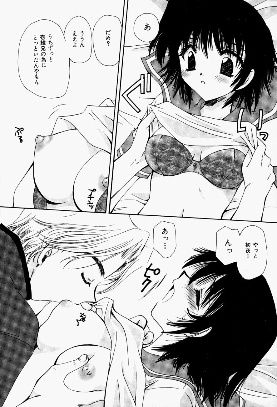 [天櫻みとの] ひがわりランチ