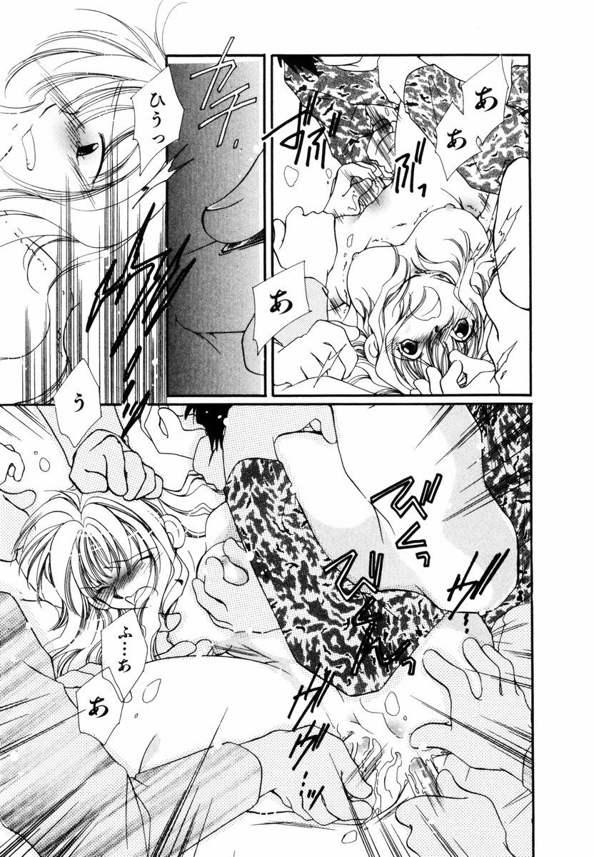 [にゃん] ピュア・ロード