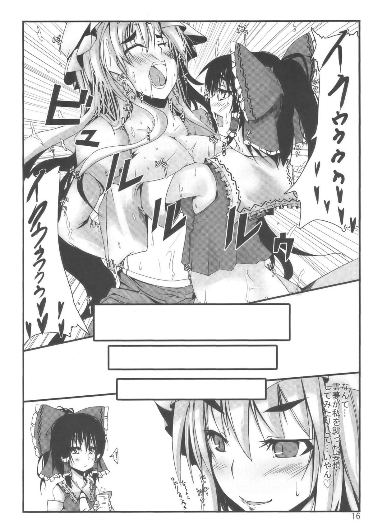 (紅楼夢5) [カラノツキ (十野弥生)] 東方妄想郷 13 (東方Project)