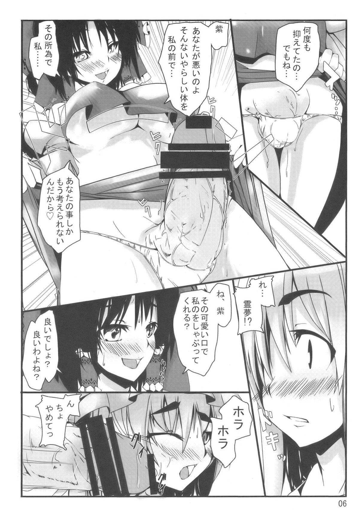 (紅楼夢5) [カラノツキ (十野弥生)] 東方妄想郷 13 (東方Project)