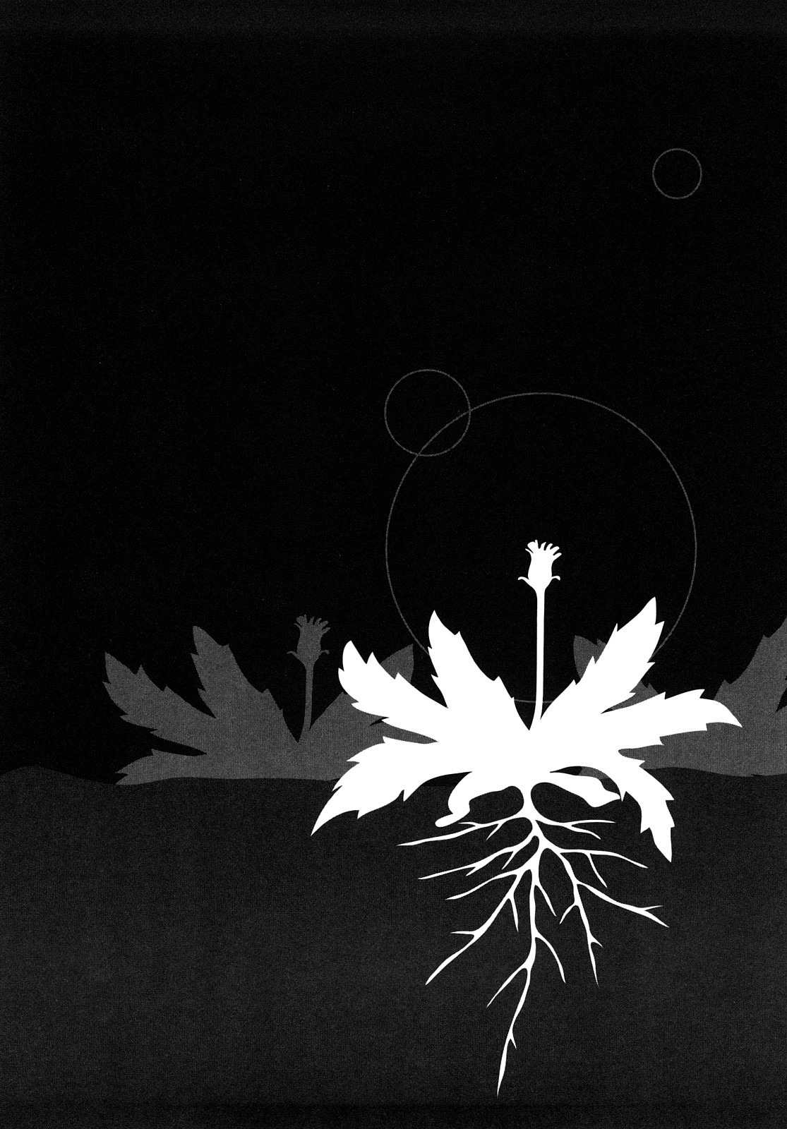 [町田ひらく] たんぽぽのまつり