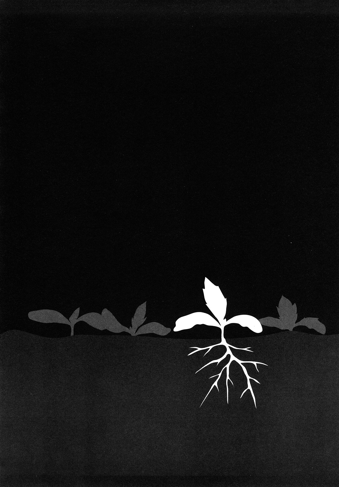 [町田ひらく] たんぽぽのまつり