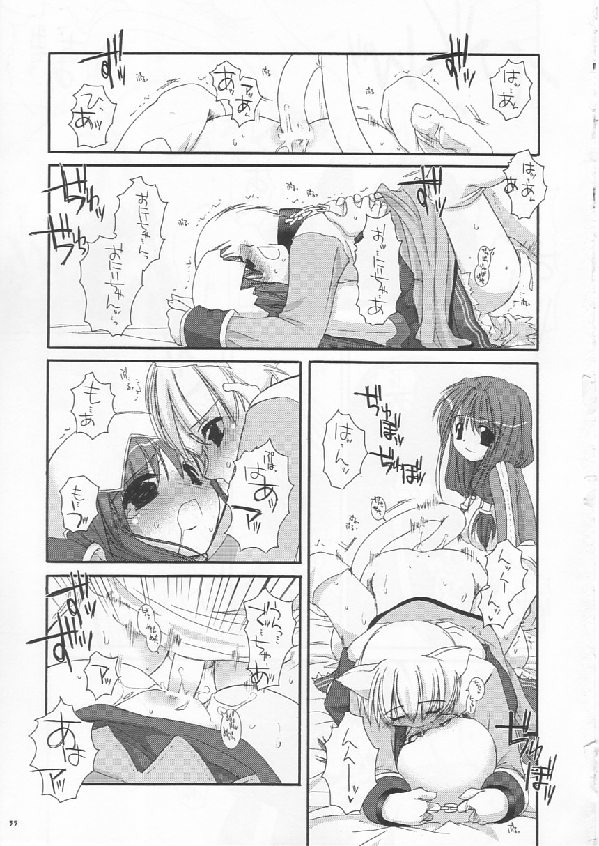 (C64) [Digital Lover (なかじまゆか)] D.L. Action 19 (ラグナロクオンライン)