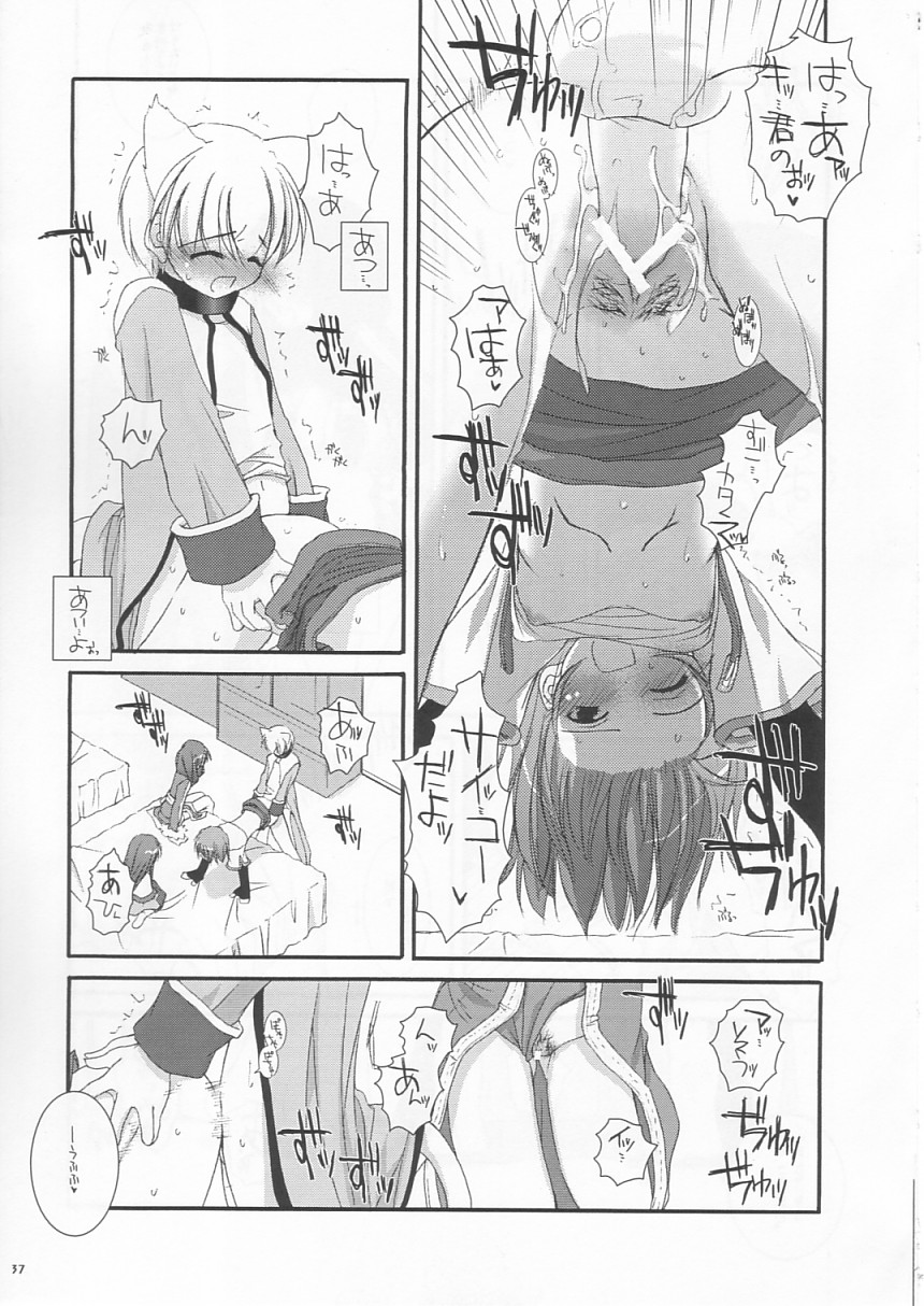 (C64) [Digital Lover (なかじまゆか)] D.L. Action 19 (ラグナロクオンライン)