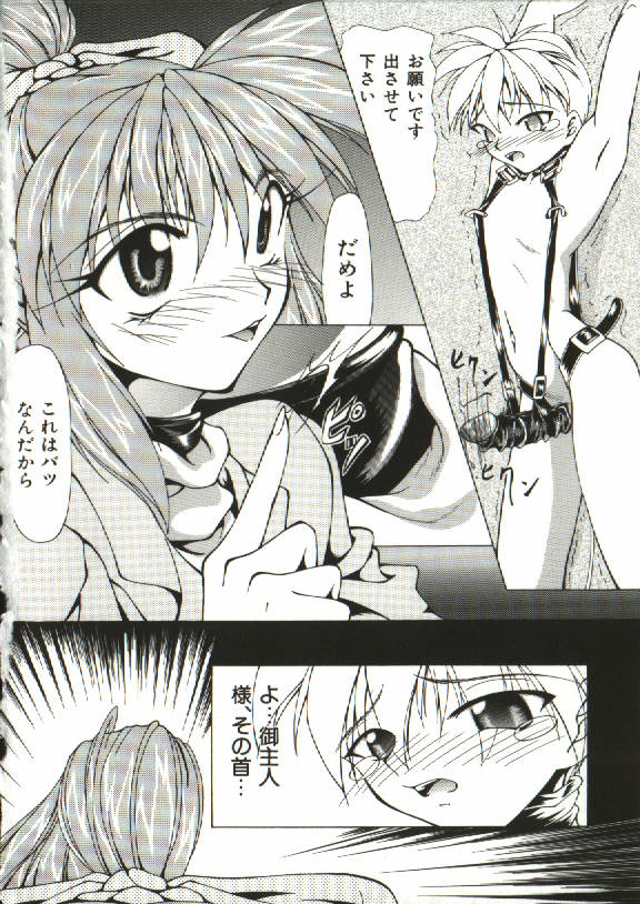 [四島由紀夫] 女衒