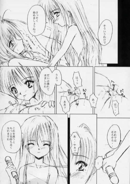 [R-SPIRITS] SPLENDID FLOWER GARDEN (カードキャプターさくら)