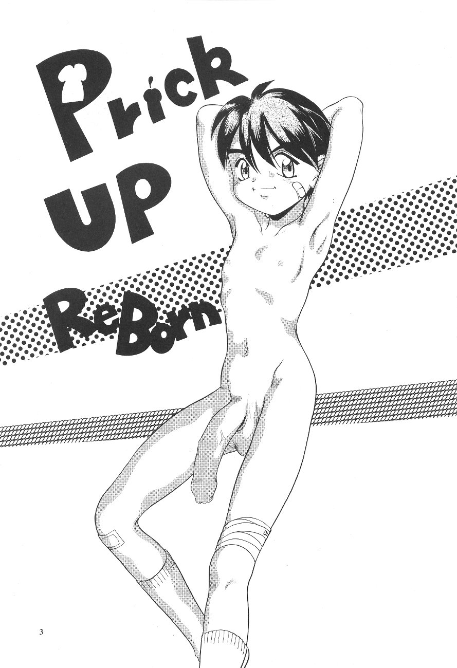 (C60) [ぷっちんぷりん企画 (よろず)] PRICK UP REBORN