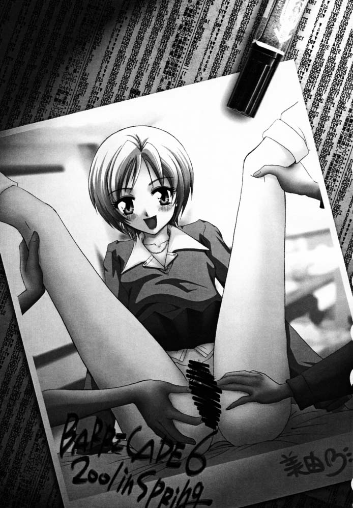 【バリケード6番】デコレーションチーズケーキ