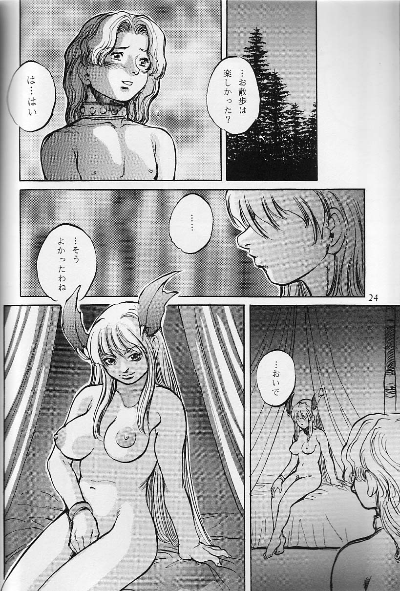 (C51) [すたじお☆たぱたぱ (戦国くん)] Cambion 2 (ヴァンパイアセイヴァー)