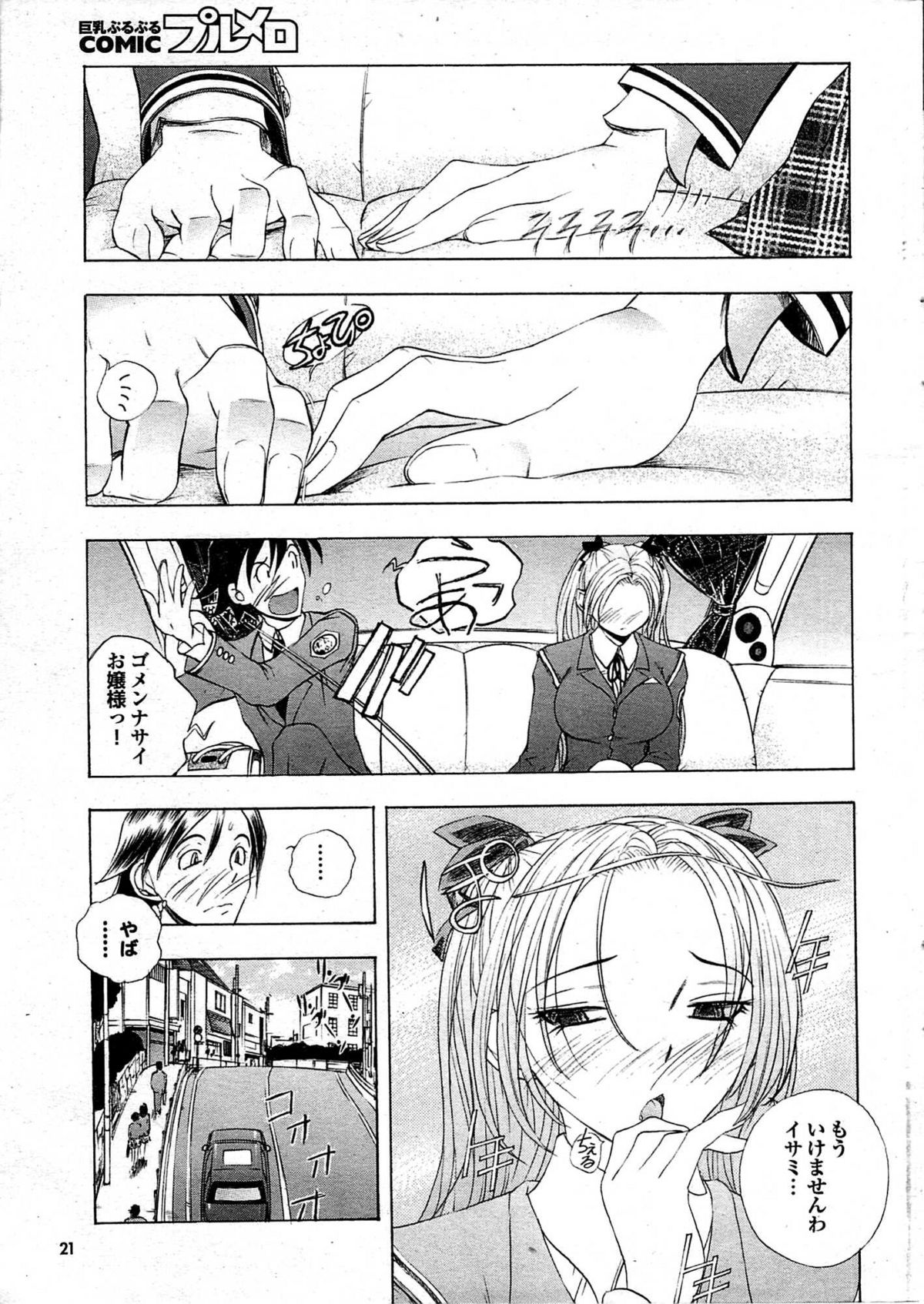 COMIC プルメロ 2008年01月号 vol.13