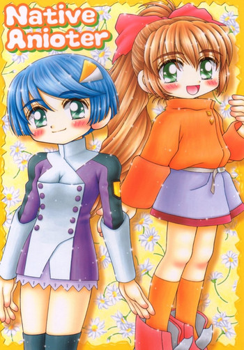 [いまか屋 (いまかひでき)] Native Anioter (スクライド)