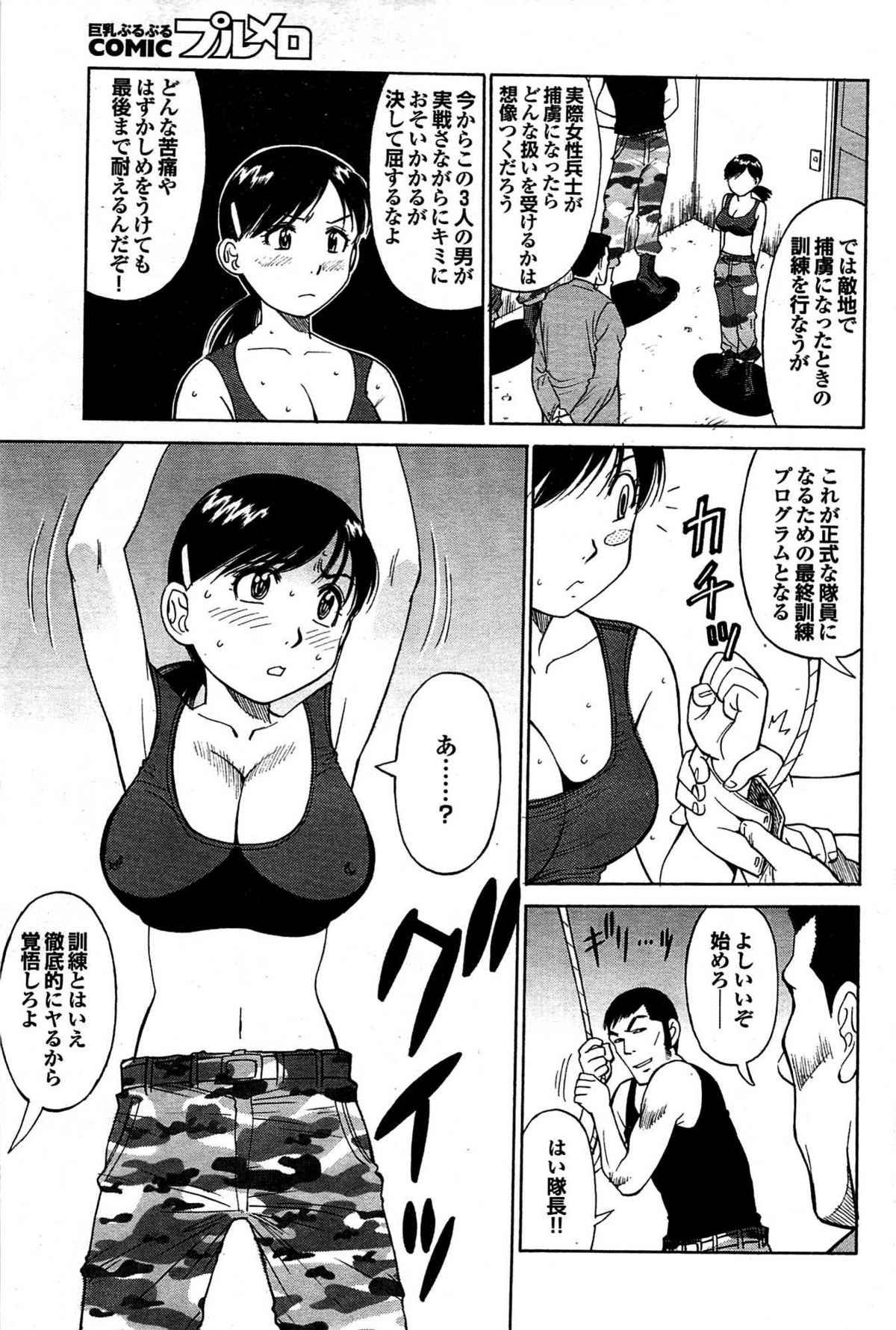 COMIC プルメロ 2007年08月号 vol.08