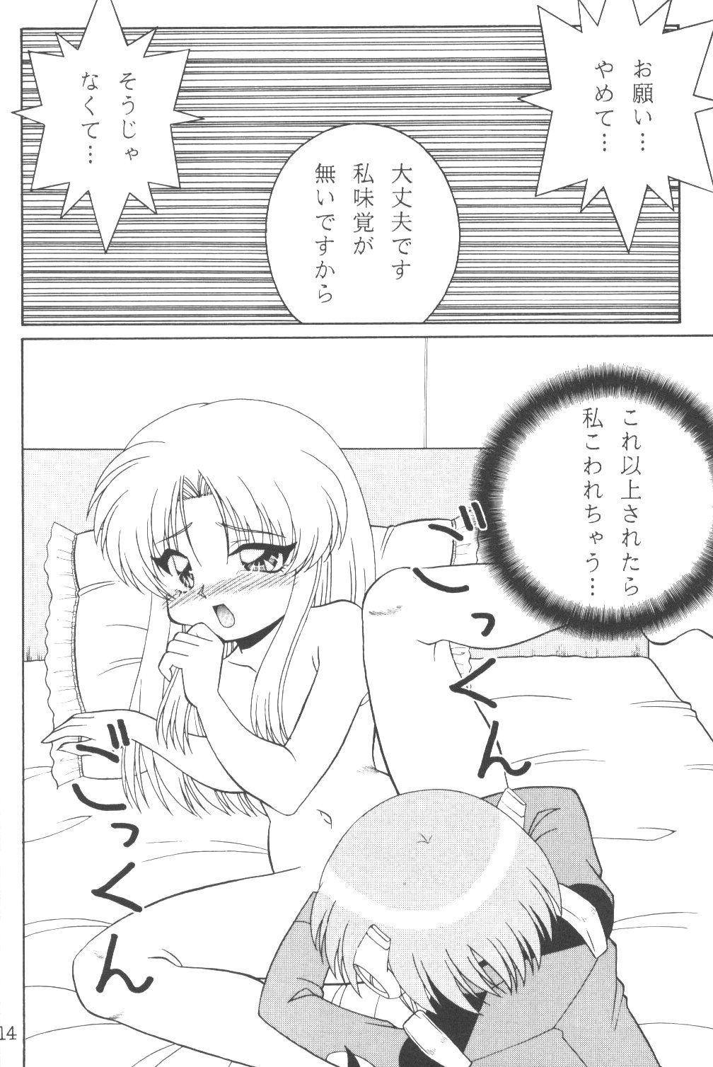 (SC8) [Solex (Toku)] TOKUTEI 8 (機動戦艦ナデシコ)