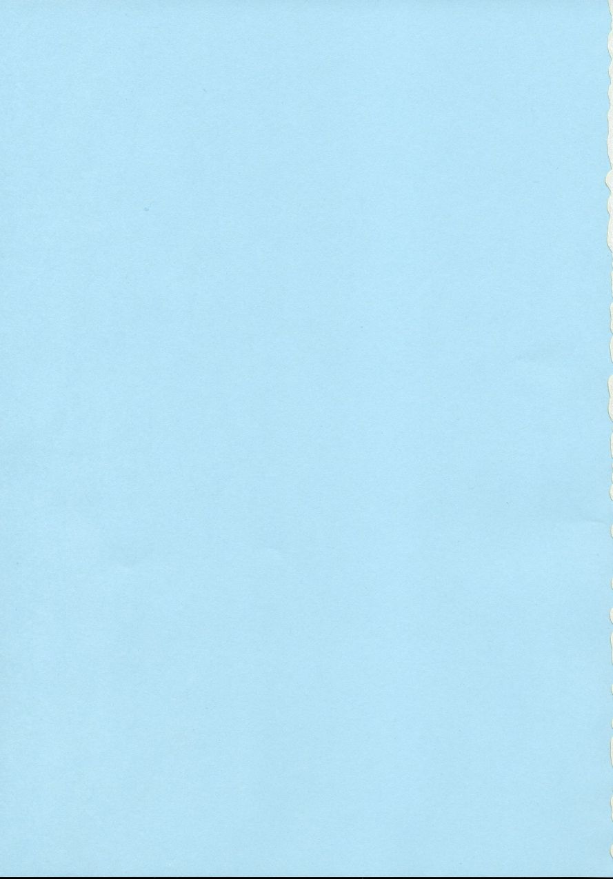 (C63) [オタクライフJAPAN (千家カゲロー)] すごいよ!! かすみちゃん 4 〜恋の花咲く! ビーチDEアタック〜 (デッド・オア・アライブ エクストリーム・ビーチバレーボール)